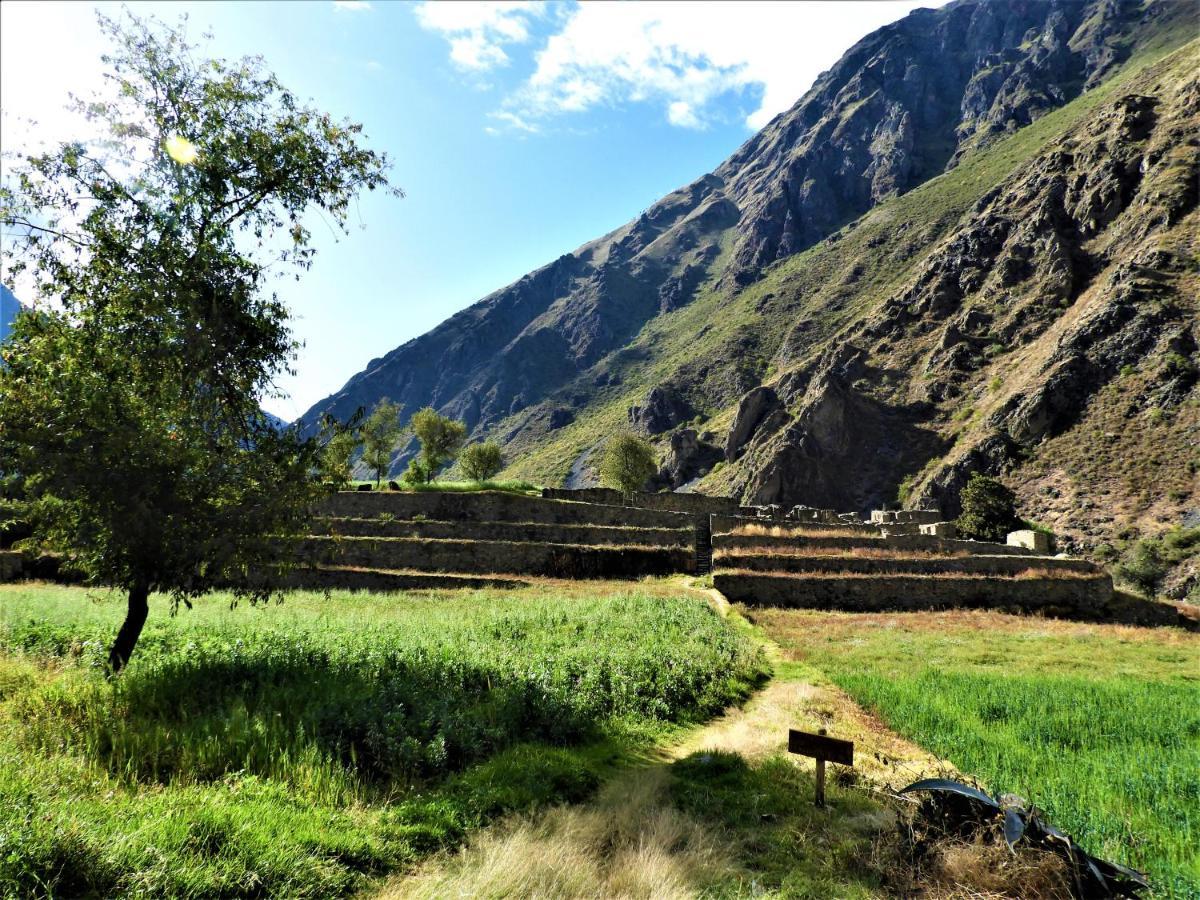Ayllu B&B Ollantaytambo Ngoại thất bức ảnh